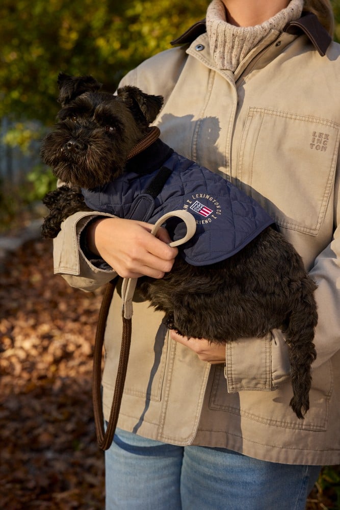 Lexington dog quilted jacket, dark blue