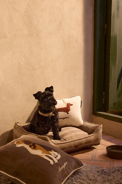 Lexington hundeseng 60x45cm