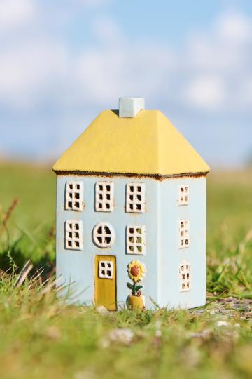 Hus Nyhavn med solsikke